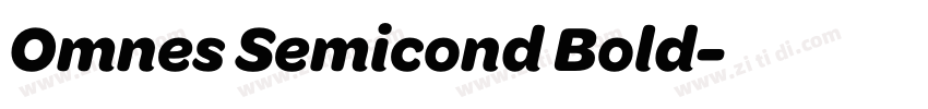 Omnes Semicond Bold字体转换 Omnes Semicond Bold字体转换